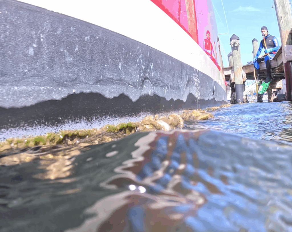 Why Barnacle Removal is More Than Just Boat Cleaning: The Hidden Costs of Neglect