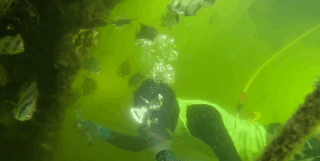 The Barnacle Life Cycle: How They Sneak Onto Your Boat and How to Stop Them